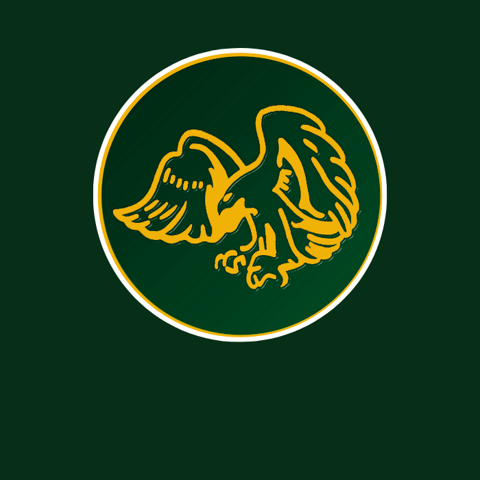 Manor Park Primary School