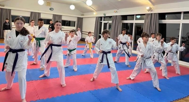Focused Dojo Training